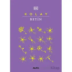 Kolay Beyin - Angeles Gavira - Alfa Yayınları