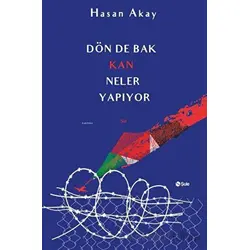 Dön De Bak Kan Neler Yapıyor - Hasan Akay - Şule Yayınları