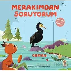 Merakımdan Soruyorum - Orman - Kolektif - Sincap Kitap