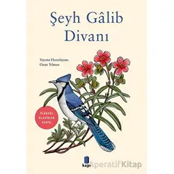 Şeyh Galib Divanı - Kolektif - Kapı Yayınları