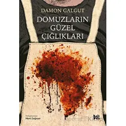 Domuzların Güzel Çığlıkları - Damon Galgut - Delidolu