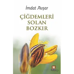Çiğdemleri Solan Bozkır - İmdat Avşar - Tedev Yayınları