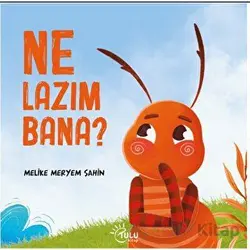 Ne Lazım Bana - Melike Meryem Şahin - Tulu Kitap