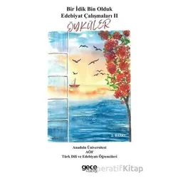 Bir İdik Bin Olduk Edebiyat Çalışmaları II Öyküler - Kolektif - Gece Kitaplığı