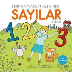 Sayılar - Şeyma Kara - Uçan Kitap
