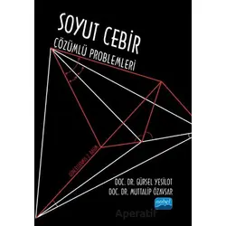 Soyut Cebir Çözümlü Problemleri - Muttalip Özavşar - Nobel Akademik Yayıncılık
