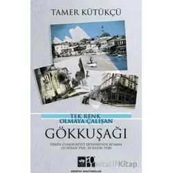 Tek Renk Olmaya Çalışan Gökkuşağı - Tamer Kütükçü - Ötüken Neşriyat