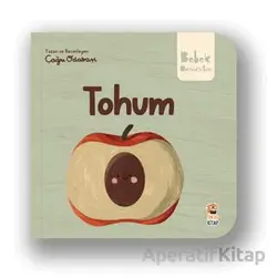 Tohum - Çağrı Odabaşı - Sincap Kitap