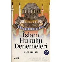 İslam Hukuku Denemeleri 2 - Hadi Sağlam - Çizgi Kitabevi Yayınları