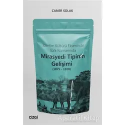 Tüketim Kültürü Ekseninde Türk Romanında Mirasyedi Tipinin Gelişimi (1875 - 1928)