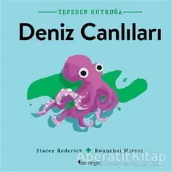 Deniz Canlıları - Tepeden Kuyruğa - Stacey Roderick - Domingo Yayınevi