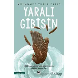 Yaralı Gibisin - Muhammed Yusuf Ertaş - Çınaraltı Yayınları