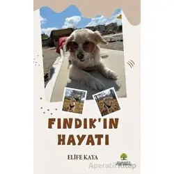 Fındık’ın Hayatı - Elife Kaya - Platanus Publishing