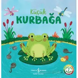 Küçük Kurbağa - Wednesday Jones - İş Bankası Kültür Yayınları