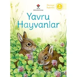 Yavru Hayvanlar - Okumaya Başlarken - Emily Bone - TÜBİTAK Yayınları