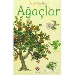 Doğa Kartları - Ağaçlar - Emily Bon - TÜBİTAK Yayınları