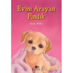Evini Arayan Fındık - Holly Webb - Pegasus Yayınları
