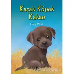 Kaçan Köpek Kakao - Holly Webb - Pegasus Yayınları
