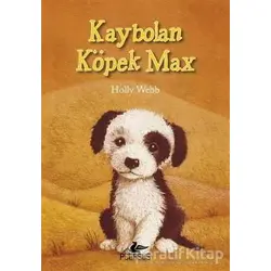 Kaybolan Köpek Max - Holly Webb - Pegasus Yayınları