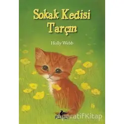 Sokak Kedisi Tarçın - Holly Webb - Pegasus Çocuk Yayınları