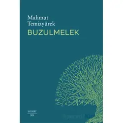Buzulmelek - Mahmut Temizyürek - Everest Yayınları