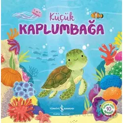 Küçük Kaplumbağa - Wednesday Jones - İş Bankası Kültür Yayınları