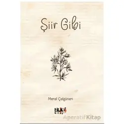 Şiir Gibi - Meral Çalgüneri - Tilki Kitap