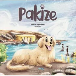 Pakize - Betül İlter - Paraşüt Kitap