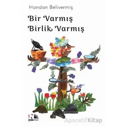 Bir Varmış Birlik Varmış - Handan Belivermiş - Nesin Yayınevi