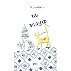 Ne Acayip - Ceyhun Balcı - Şule Yayınları