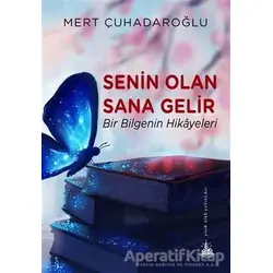 Senin Olan Sana Gelir - Mert Çuhadaroğlu - Yitik Ülke Yayınları