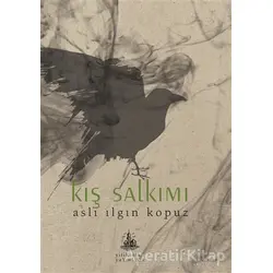 Kış Salkımı - Aslı Ilgın Kopuz - Yitik Ülke Yayınları