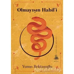 Olmayışın Habil’i - Yunus Bektaşoğlu - Yitik Ülke Yayınları