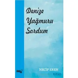 Denize Yağmuru Sordum - Necip Eren - Sınırsız Kitap