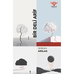 Bir Deli Arif - Serkan Arslan - Pankuş Yayınları