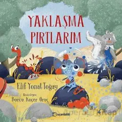 Yaklaşma Pırtlarım - Elif Yonat Toğay - Uçanbalık Yayıncılık