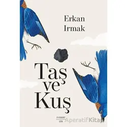 Taş ve Kuş - Erkan Irmak - Everest Yayınları