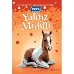 Yalnız Midilli - Sarah Hawkins - İş Bankası Kültür Yayınları