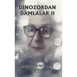 Dinozordan Damlalar II - Hatice Terlikçi Genç - Gülnar Yayınları