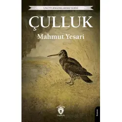 Çulluk - Mahmut Yesari - Dorlion Yayınları