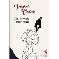 Ne Demek İstiyorum - Veysel Çolak - Klaros Yayınları