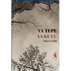 Ya Tepe Ya Kuyu - Hayri Sarı - Klaros Yayınları