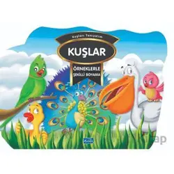 Örneklerle Şekilli Boyama - Kuşlar - Kolektif - Parıltı Yayınları