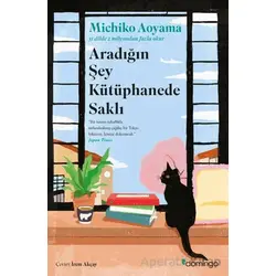 Aradığın Şey Kütüphanede Saklı - Michiko Aoyama - Domingo Yayınevi