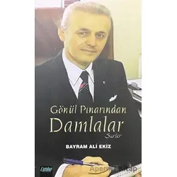Gönül Pınarından Damlalar (Şiirler) - Bayram Ali Ekiz - Çimke Yayınevi