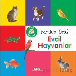 Minik Kitaplarım - Evcil Hayvanlar - Feridun Oral - Yapı Kredi Yayınları