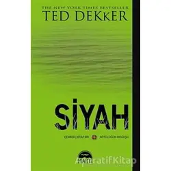 Siyah - Ted Dekker - Martı Yayınları