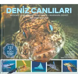 Deniz Canlıları İstanbul Akvaryum