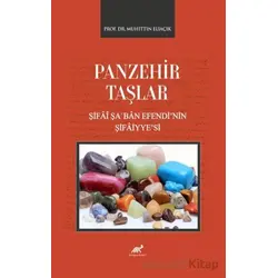 Panzehir Taşlar - Kolektif - Paradigma Akademi Yayınları