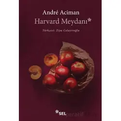 Harvard Meydanı - Andre Aciman - Sel Yayıncılık